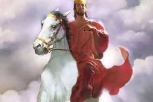 Have you found your soul mate?