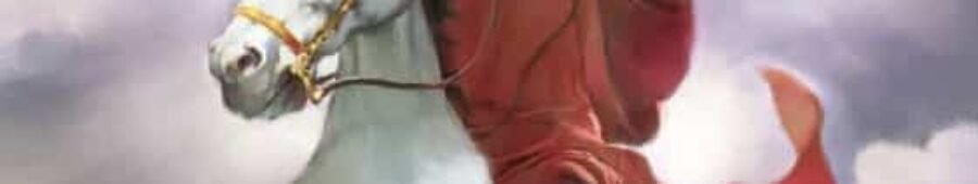 Have you found your soul mate?