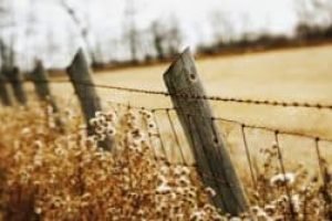 ما هي حدودي وما هي حدود الآخرين؟ (Establishing Boundaries)