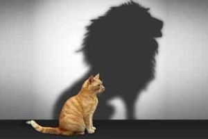 مفهوم الثقة بالنفس (Self Confidence)