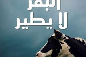 البقر لا يطير